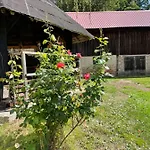 Schellnhof Forsthaus Am Waldrand