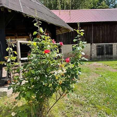 Schellnhof Forsthaus Am Waldrand